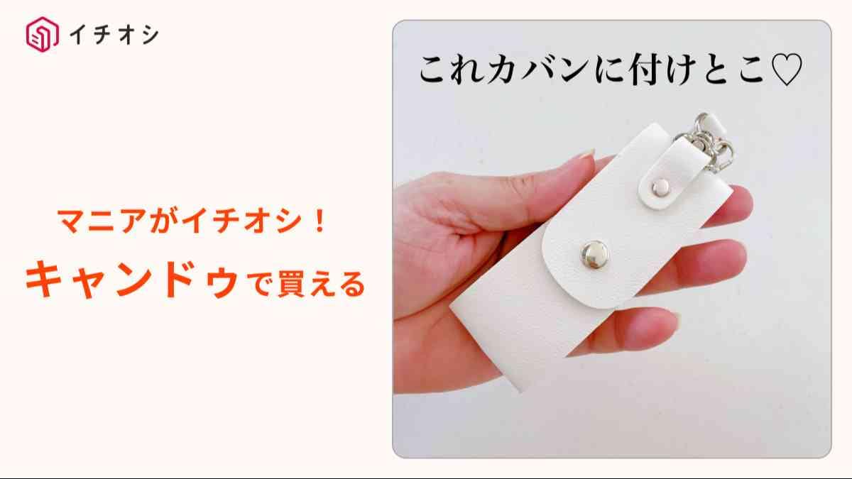 キャンドゥの「ジャケットホルダー」