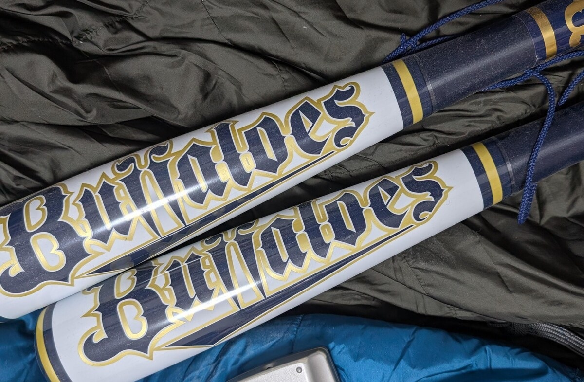 【プロ野球ファン衝撃】生活費を削って10万円超えの席へ！30代男性が語る「推し活への投資」が人生を豊かにする理由