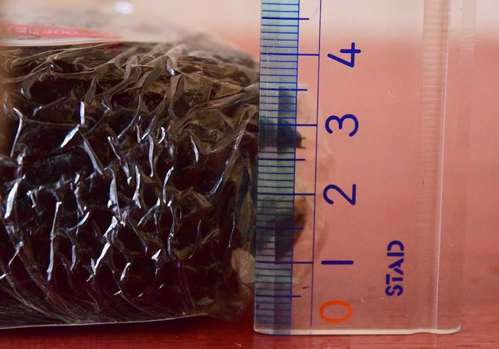 「おおきなおむすび」の高さは約3.5cm