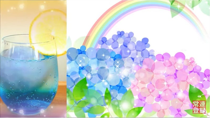 【業務スーパー】「かき氷シロップ」で映えドリンクが簡単に作れるらしい！