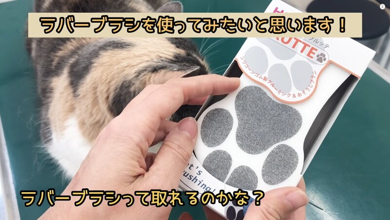 猫の抜け毛が気持ちいいほどとれる！ハリオのラバーブラシ「グルッテ」