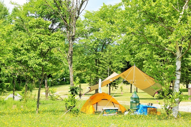 キャンプで自然を満喫！