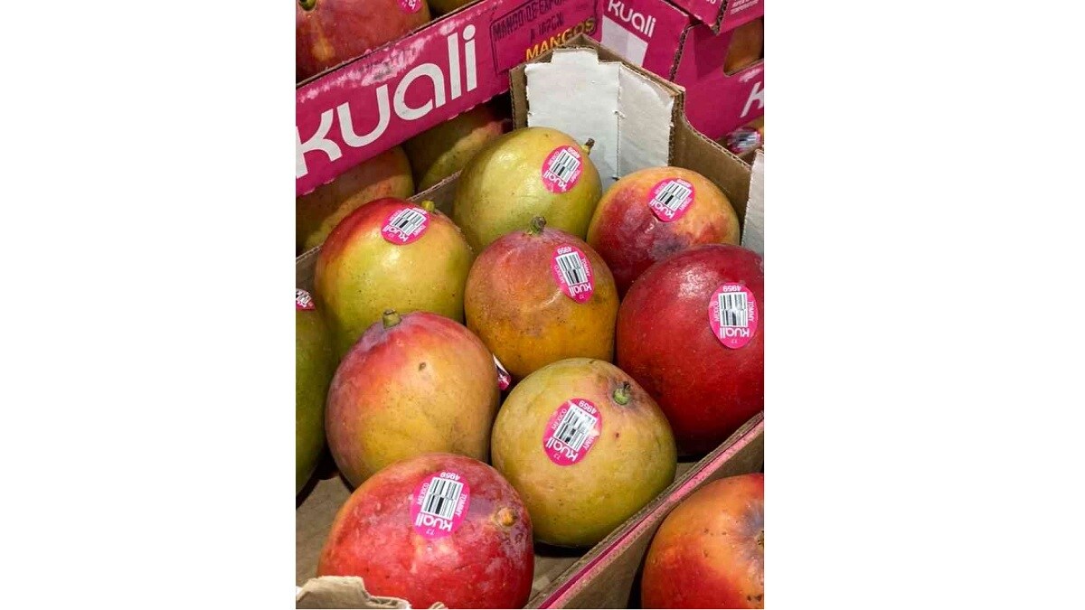 コストコ通が教える「生鮮食品」おすすめランキング！本当にコスパがいいのは？