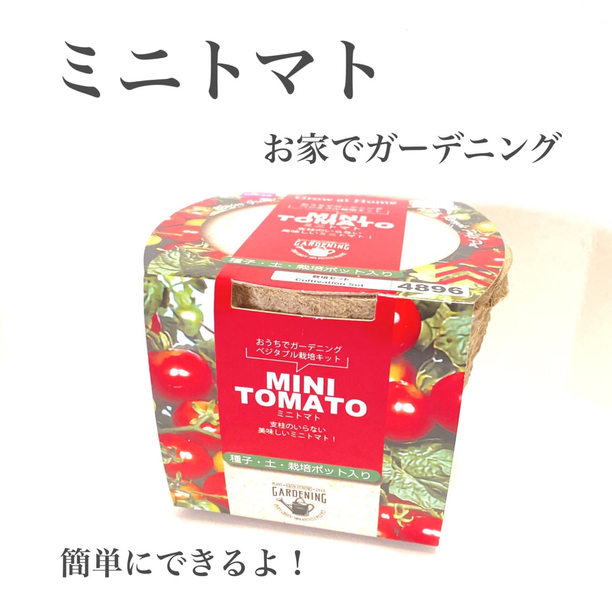 【ダイソー】ミニトマトにチャレンジ！収穫までできるのか？！