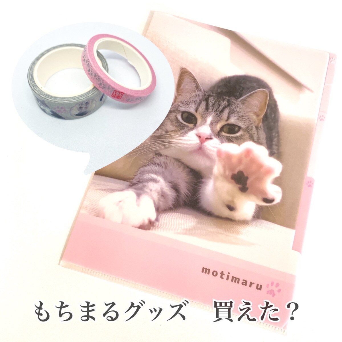 【ダイソー】もちまるグッズ買えた？かわいい猫に癒されたいあなたにオススメ