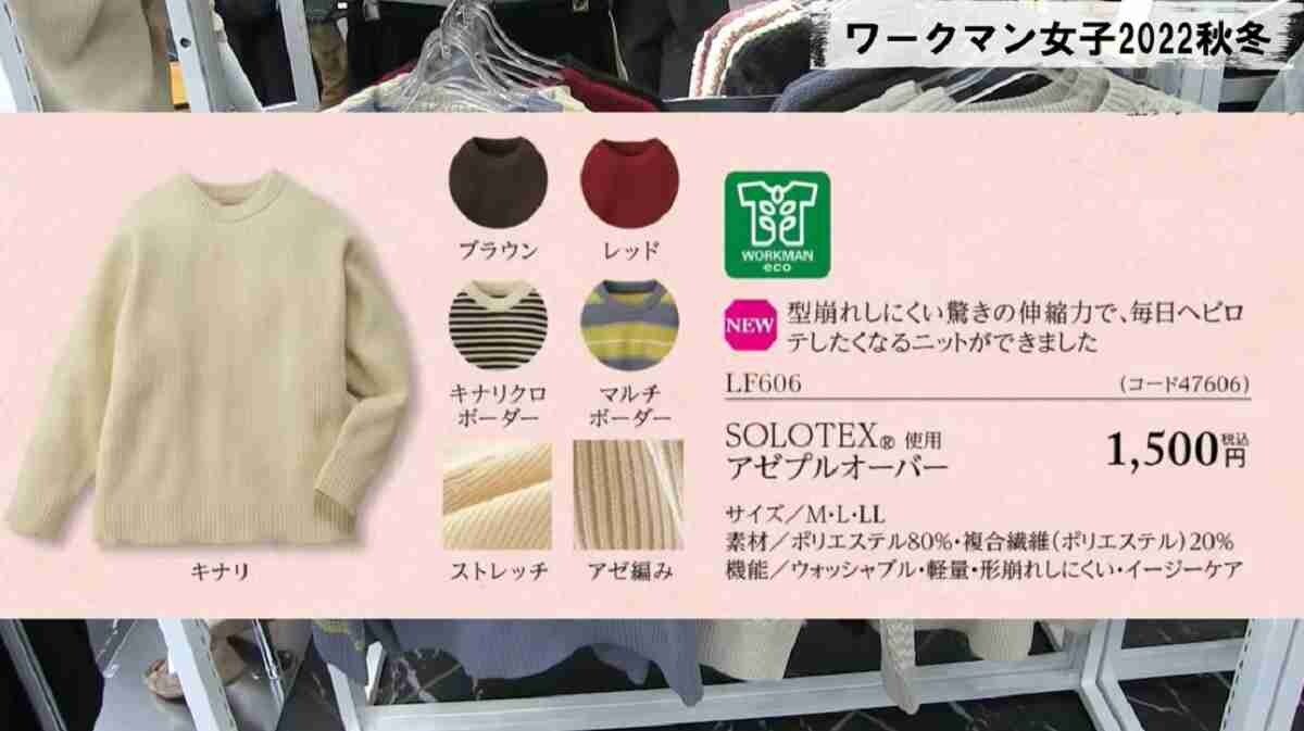 【ワークマン女子】アゼプルオーバー（1500円）がおしゃれ！冬のレディースコーデに最適なあったかニット