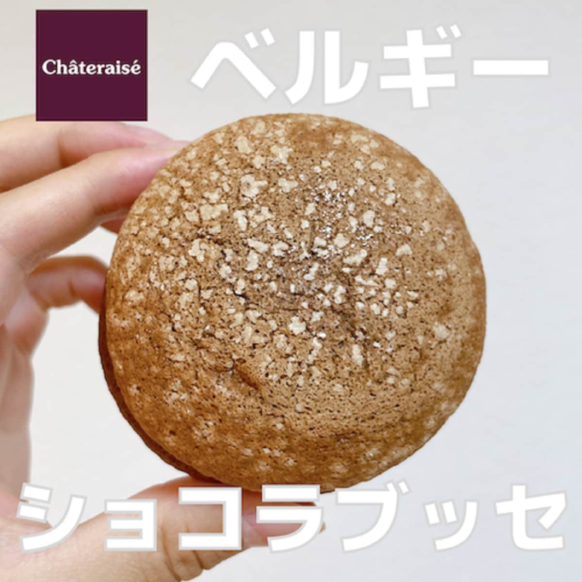 【シャトレーゼ】ベルギーショコラブッセ（108円）はバレンタインのばら撒きにも◎チョコ好き必見の絶品お菓子