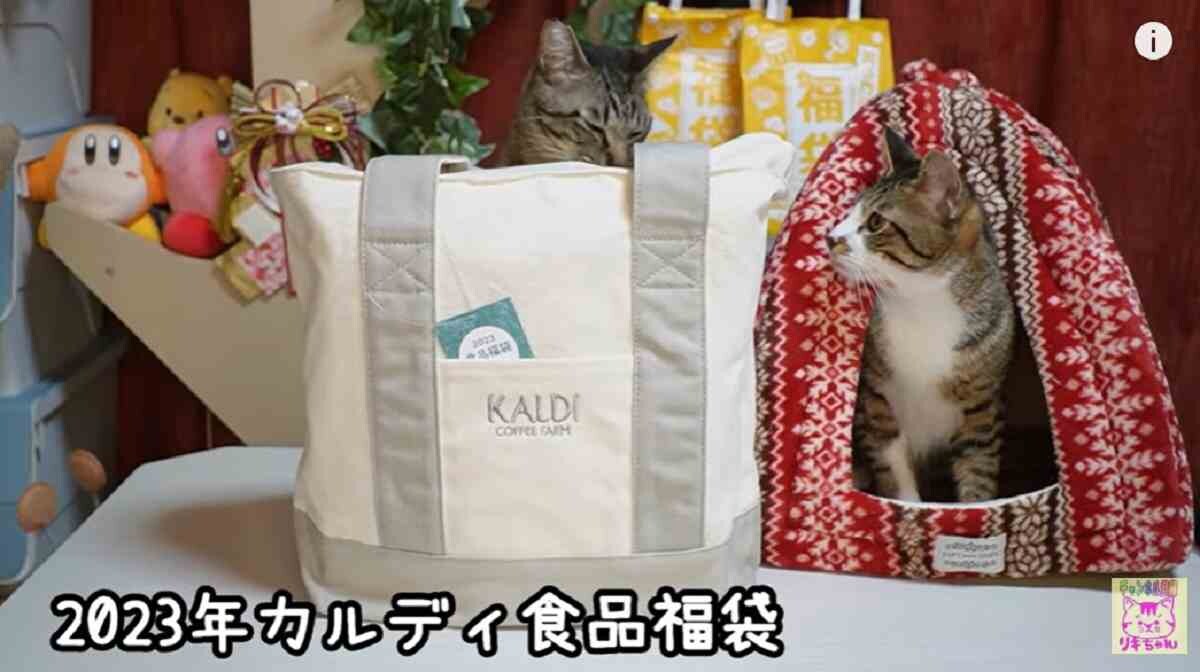 【カルディ】2023年「福袋」の気になる中身は？食品など20点前後入ってお得すぎるって本当？