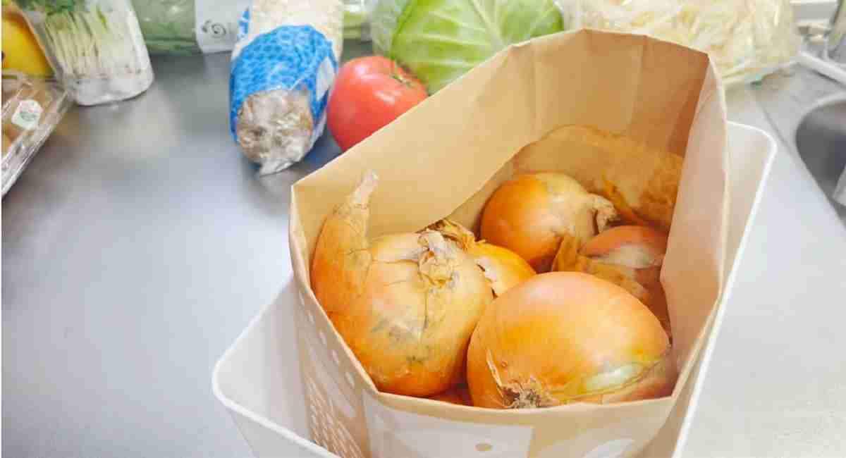 【ダイソー】マニアがおすすめするアイテム3選！掃除がラクになる野菜ストッカーや可愛いばんそうこうも