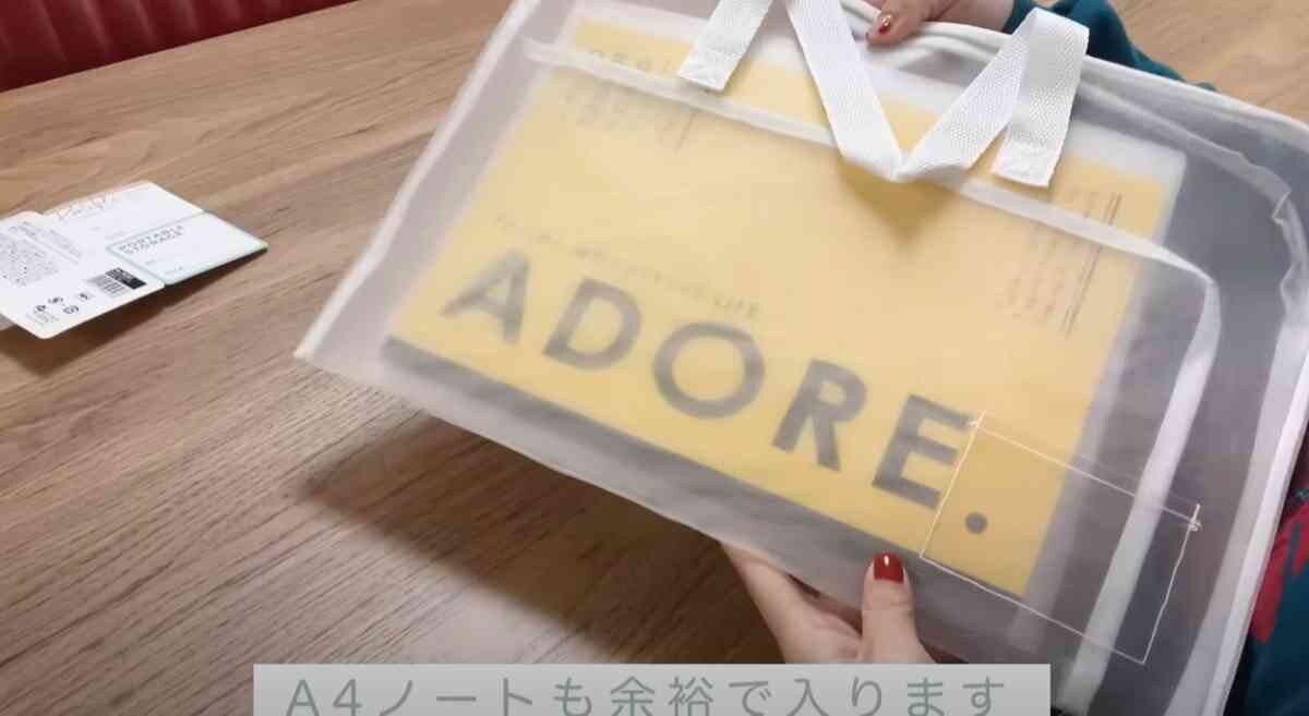 【ダイソー＆スリーピー】マニアおすすめの「収納ケース」は持ち運びもできて便利！春の書類の仕分けに◎