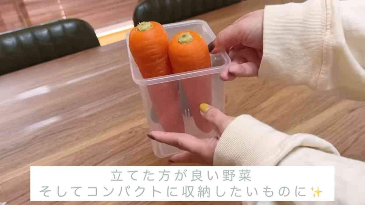 【ダイソー】新鮮野菜スタンドなら冷蔵庫でも鮮度をキープ！夏に食べたいアイスの整理収納にも◎