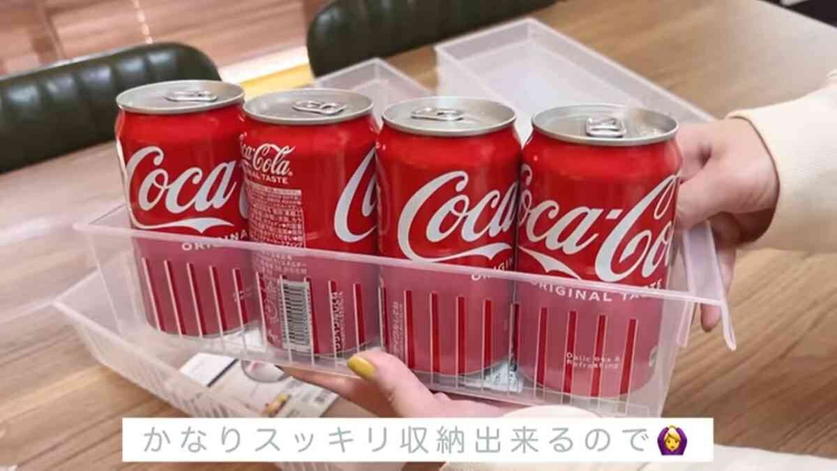 【ダイソー】収納のプロ愛用の110円アイテムって？キレイストッカーが冷蔵庫整理に超便利！