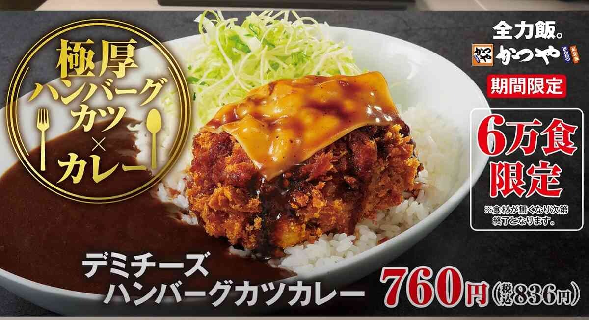【かつや】今しか食べられない「デミチーズハンバーグカツカレー」は肉が極厚！満足感アリの新メニュー
