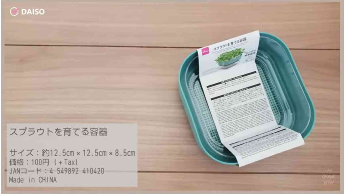 【ダイソー】水だけで簡単に育つ！「スプラウトを育てる容器」で始める家庭菜園は初心者にもおすすめ