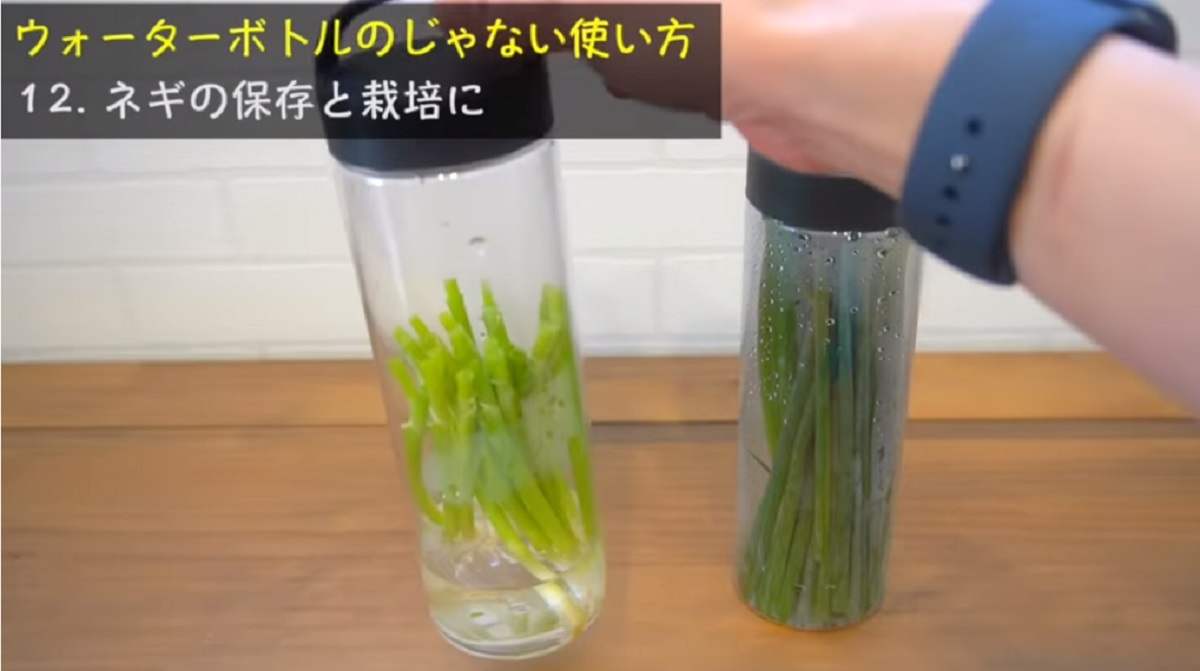 【100均】ウォーターボトルの裏ワザまとめ・メイクブラシの収納や野菜まで!?ちょっと意外な活用術3選