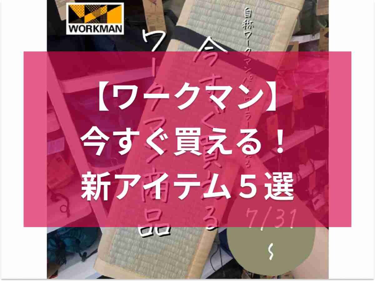 【ワークマン】店頭に急げ！今すぐ 買えるアイテム5選！マニアがおすすめする新作キャンプギア《2023/8/8》