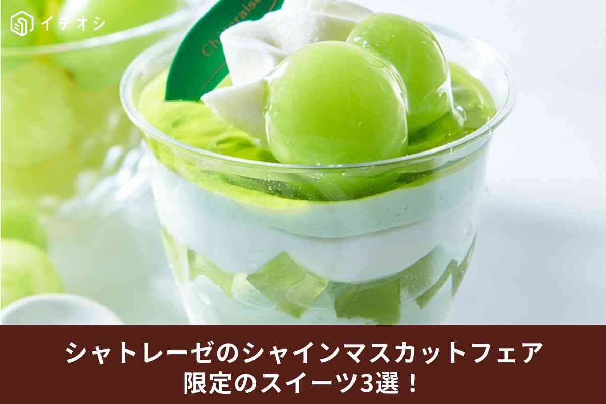 【シャトレーゼ】8/25～夏の「シャインマスカットフェア」が開催！期間限定の絶品スイーツが見逃せない