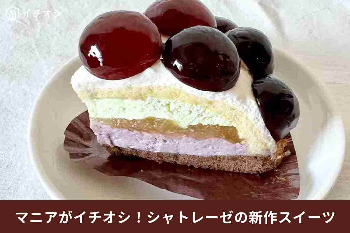 【シャトレーゼ】ぶどうの季節がやってきた！「フルーツボンブケーキ山梨県産ピオーネ」が絶品すぎ～《実食レポ》