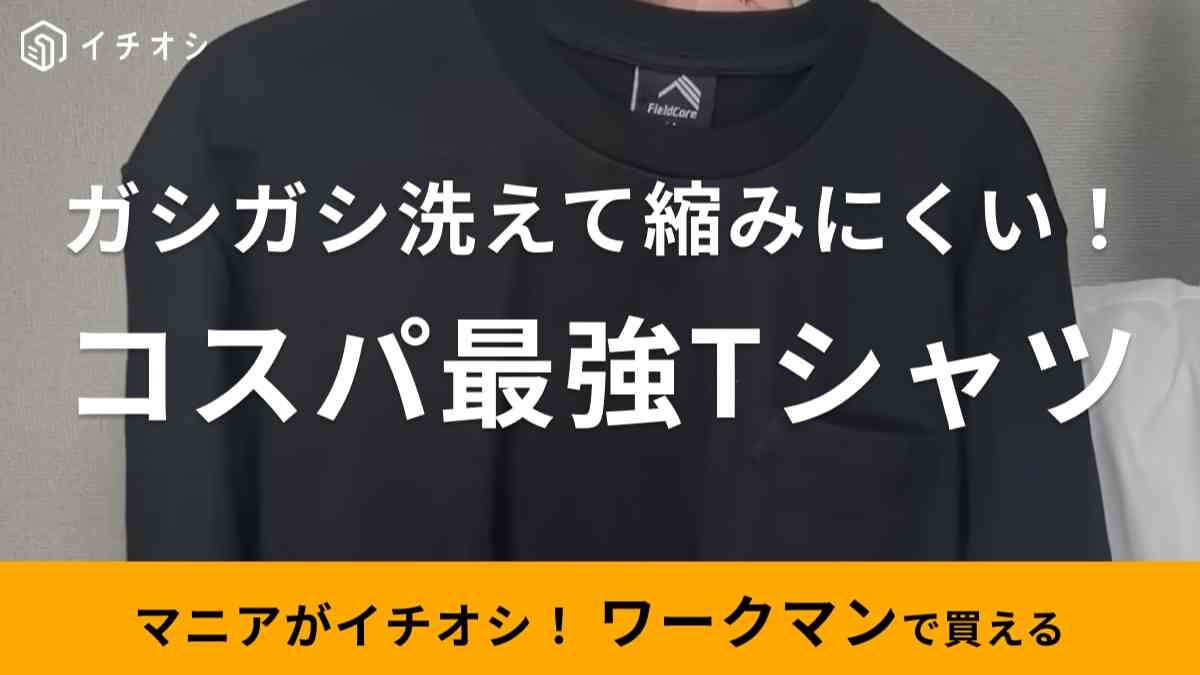 【ワークマン】980円Tシャツはオーバーサイズで残暑でも大活躍！ガシガシ洗ってもヨレにくい優れもの
