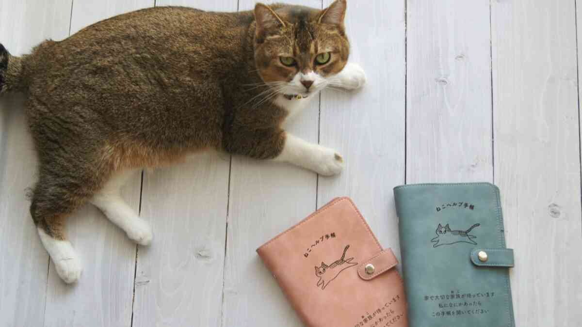飼い主の「もしも」に備えたアイデアグッズ！猫の母子手帳「ねこヘルプ手帳」がクラファンで応援販売開始