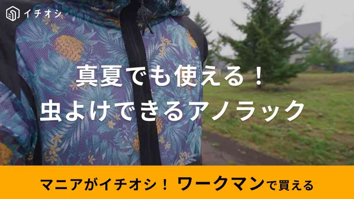 【ワークマン】秋まで使える虫よけ対策！「エアロガードメッシュアノラック」は通気性がよくて涼しく過ごせる