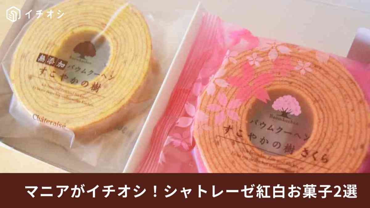 【シャトレーゼ】敬老の日に贈りたい！めでたい「紅白のお菓子」2選・