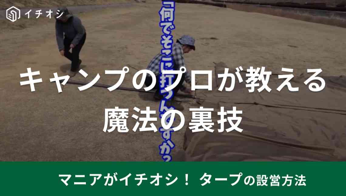 キャンプ初心者必見！「簡単にタープを設営できる魔法の裏技」完全保存版をマニアが解説