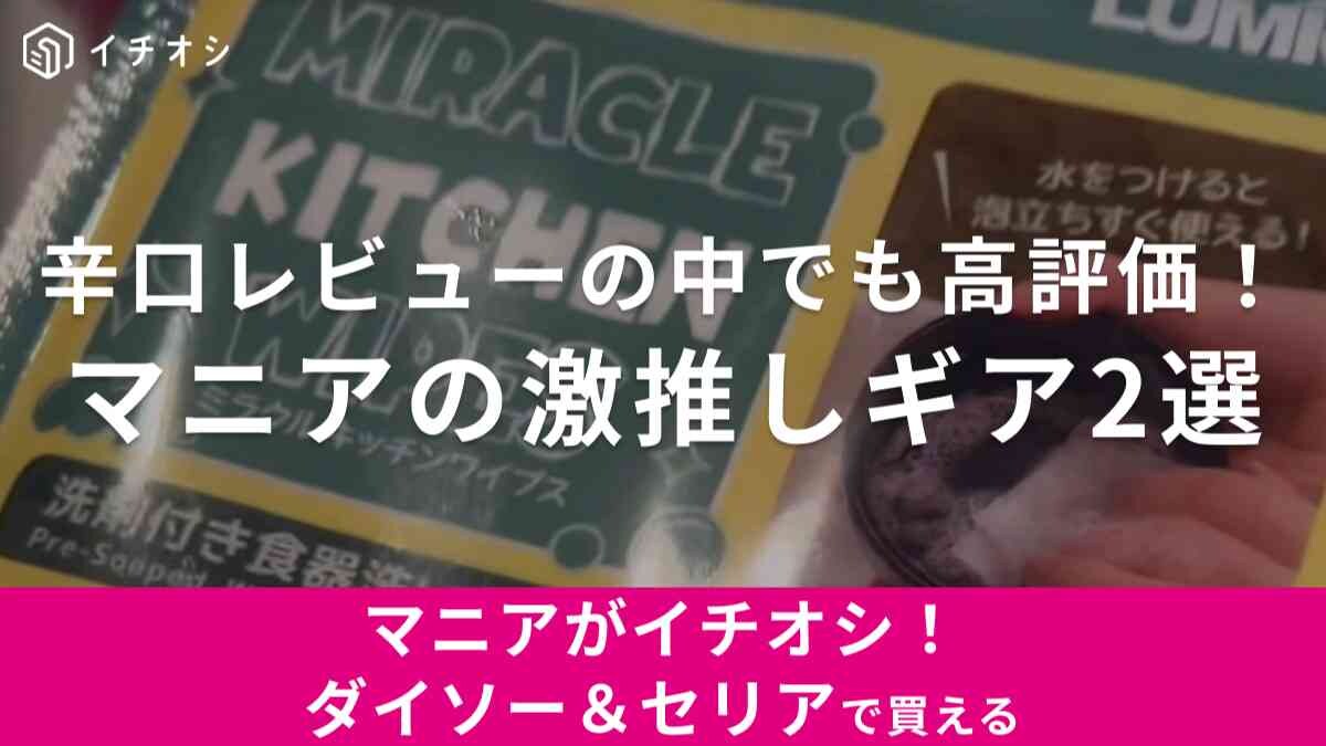 【ダイソー＆セリア】「新作100均ギア」紹介！購入品から「買って良かった推しアイテム2選」