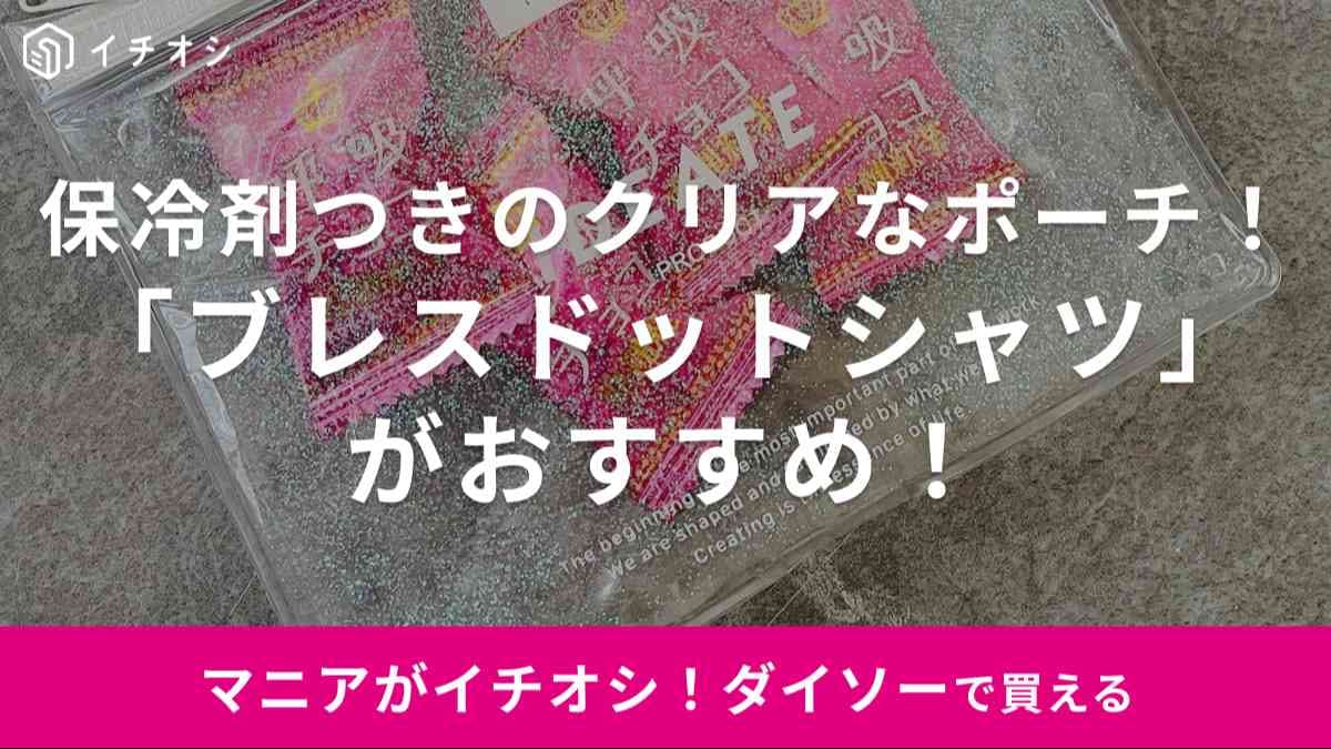 【ダイソー】クリアな保冷剤付きでオシャレ！「フラットポーチ」は飴や口紅を入れておくのに便利