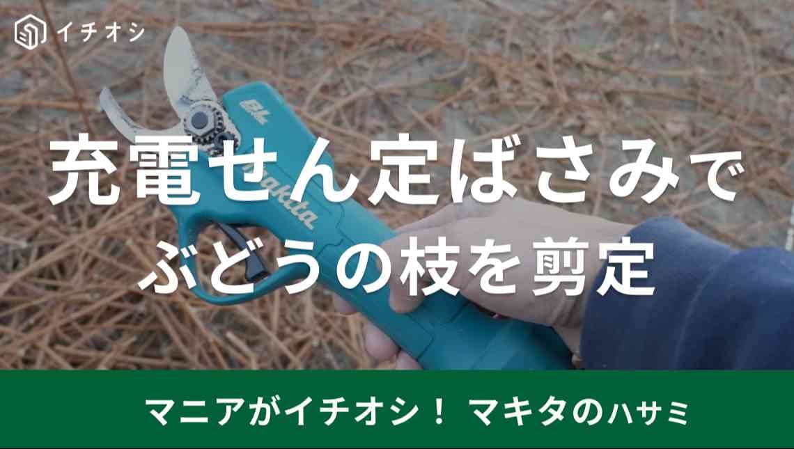 【マキタ】の電動ハサミがすごい！「充電せん定ばさみ」は枝を楽々カットできるから庭の手入れにも◎
