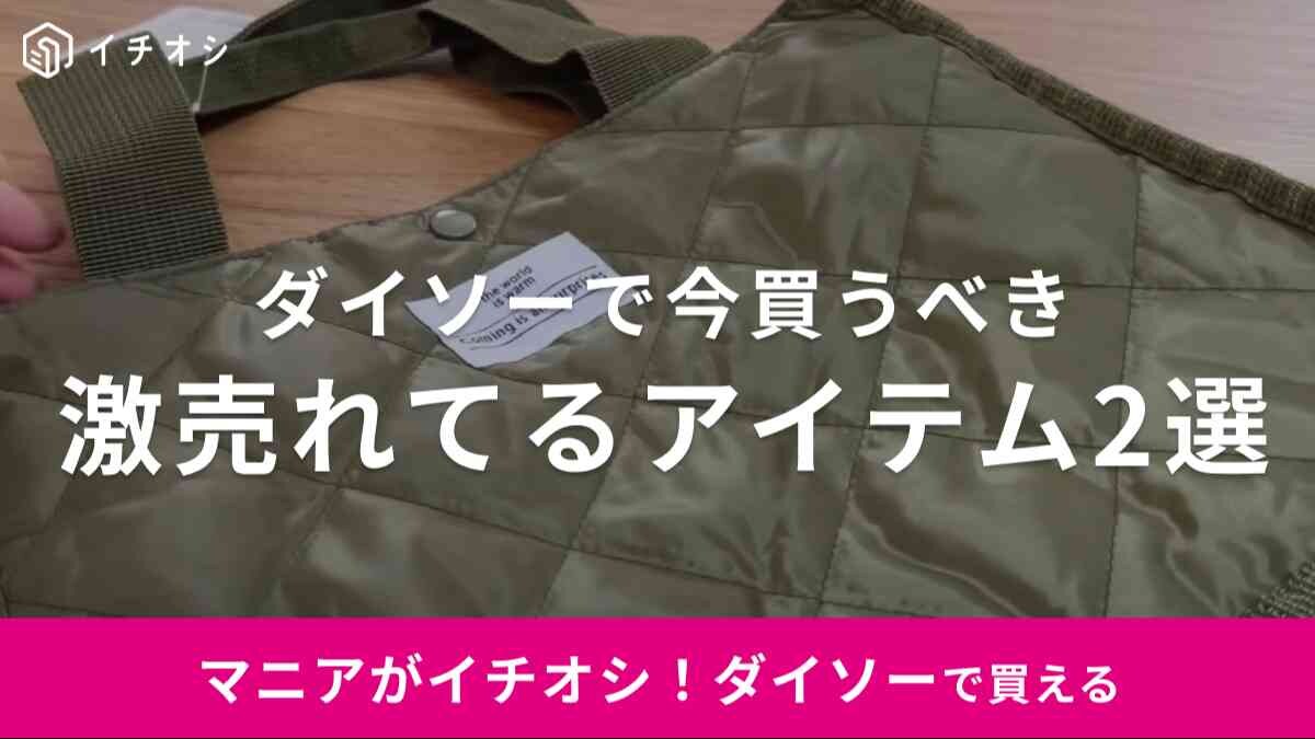 【ダイソー】早く買わないと売り切れそう！「キルトトートバッグ」など今買うべき注目アイテム2選