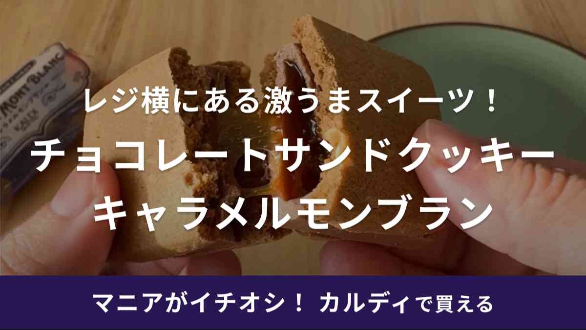 こりゃ売れるわ！【カルディ】の「レジ横スイーツが大当たり！」全人類食べるべき！171円の激うまスイーツを発見