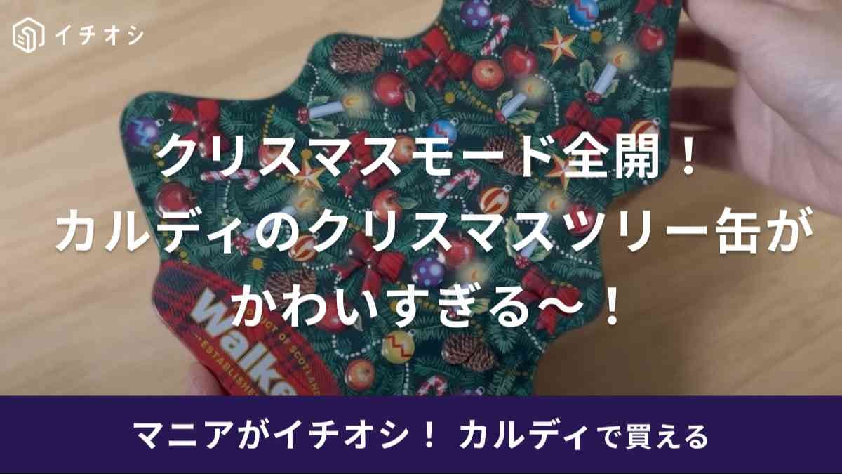 これは争奪戦！今すぐ【カルディ】に急いで！クリスマスツリーの缶が可愛すぎる件！