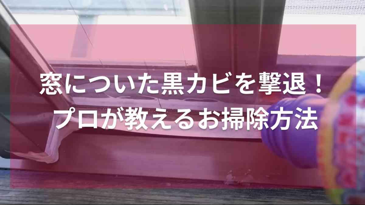 掃除のプロはこうやる！窓の黒カビは「ドメスト」で撃退！100均のアイテムを活用して美窓に変身させよう