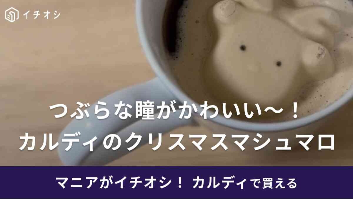 【カルディ】のマシュマロは切ないけどなんか可愛い…少しずつ溶けていく姿も楽しめる！クリスマスドリンクに◎