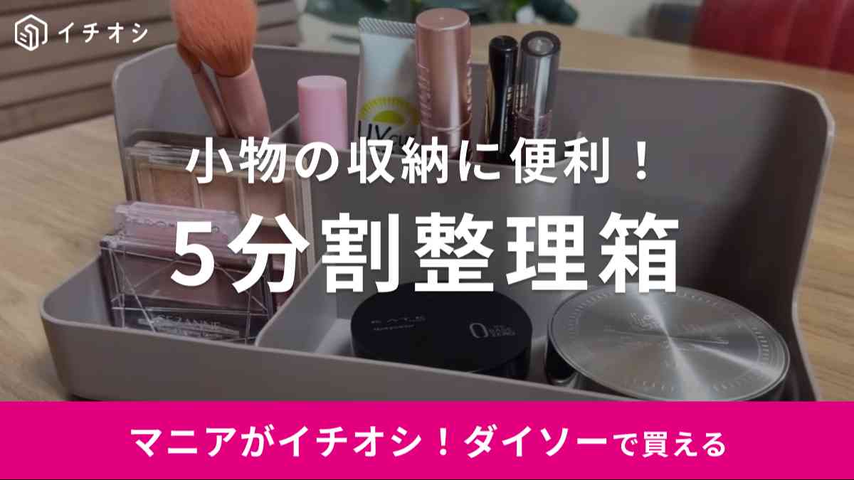 ダイソーの5分割整理箱