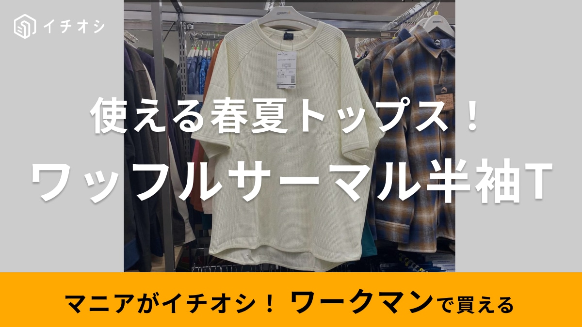 【ワークマン】2024年春夏最新速報！「980円で今どきビッグシルエットが作れるTシャツ」が今年絶対使える