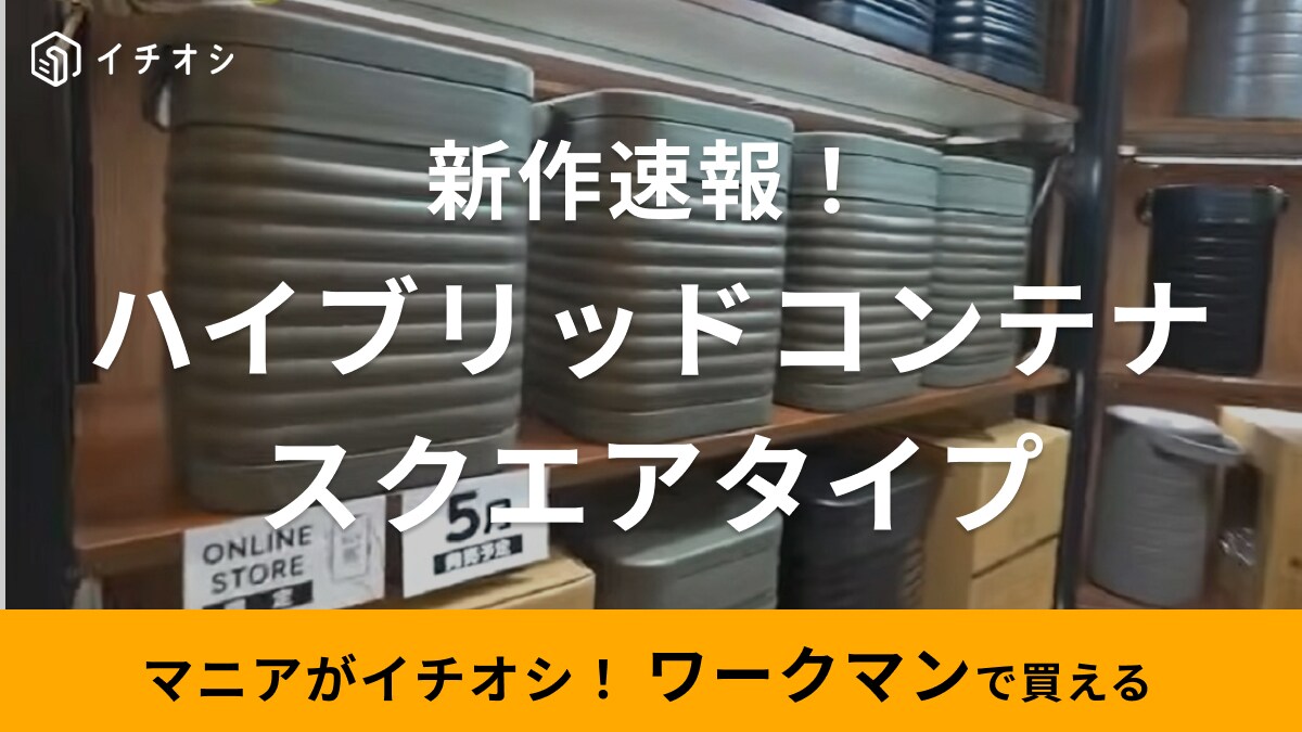 「お待たせしました！」【ワークマン】スクエア真空ハイブリッドコンテナが復活！オンライン限定で販売、いつから？