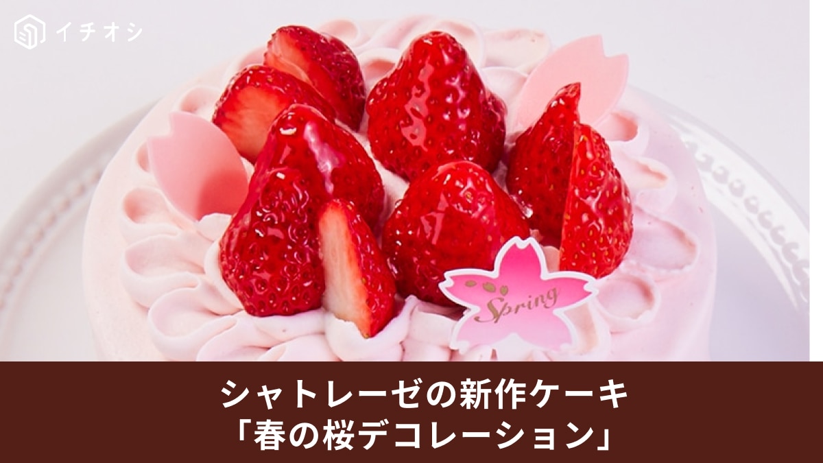 卒業や入学など春のお祝いに◎【シャトレーゼ】の新作「春の桜デコレーションケーキ」で花を添えよう