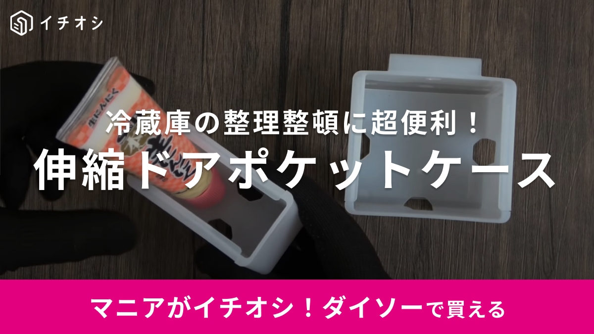 「冷蔵庫ポケットはもう整理不要！」ダイソーの神グッズで「調味料がパッと取れる！」