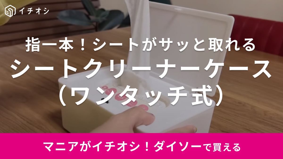 これが110円で買えるなんて…【ダイソー】マニアが驚いた「シートケース」がハイクオリティすぎる