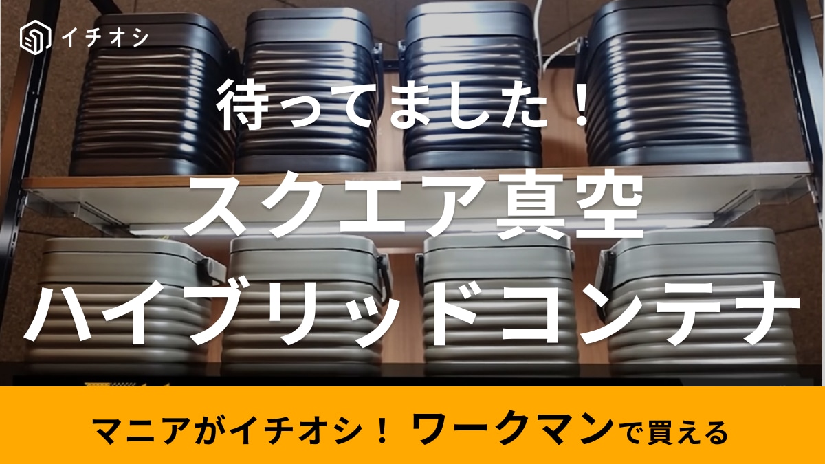 「1年待ちました…」ワークマン「スクエア真空ハイブリッドコンテナ」が遂に5月発売予定！「完売予報発令中」