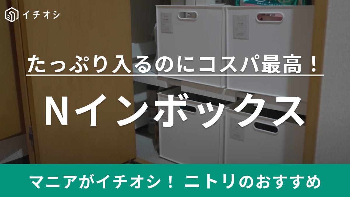 大きい収納ボックス買うなら【ニトリ】がコスパ抜群！人気「Nインボックス」はたっぷり入るから新生活にも助かります◎