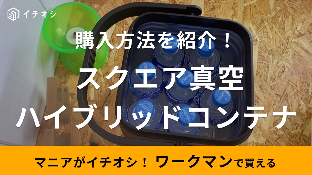 BBQもキャンプも待ちきれない！【ワークマン】毎年完売のハイブリッドコンテナに新作登場！再入荷情報も
