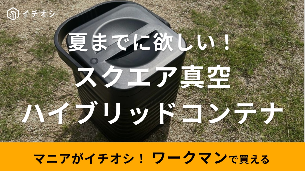 9時間氷が溶けない!?【ワークマン】超レア「スクエア真空ハイブリッドコンテナ」夏までに入手したい人必見の再入荷情報も