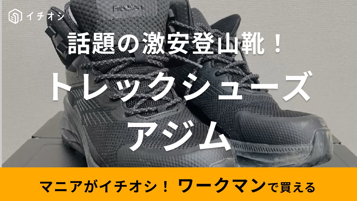 【ワークマン】話題の激安登山靴！マニアが実際に登山で使用してみた！機能性は？どんな人におすすめ？