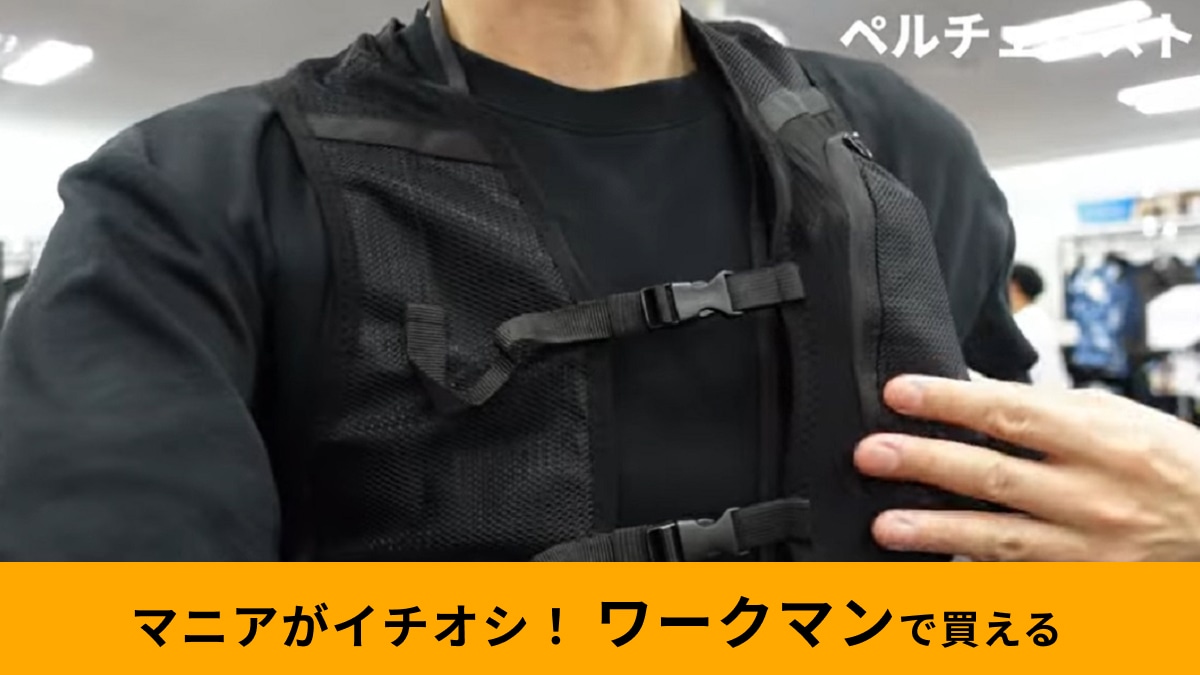 ワークマン】から衝撃の2万円台商品が登場！「アイス×ヒーターペルチェベストPRO」冷却効果をアップする裏ワザも紹介 | イチオシ | ichioshi