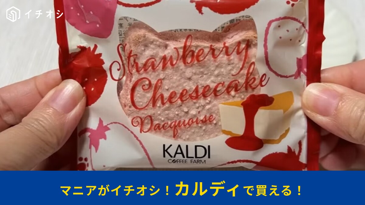 買えるのは【カルディ】通販だけ！猫ちゃんの形がかわいい「ストロベリーチーズケーキダックワーズ」