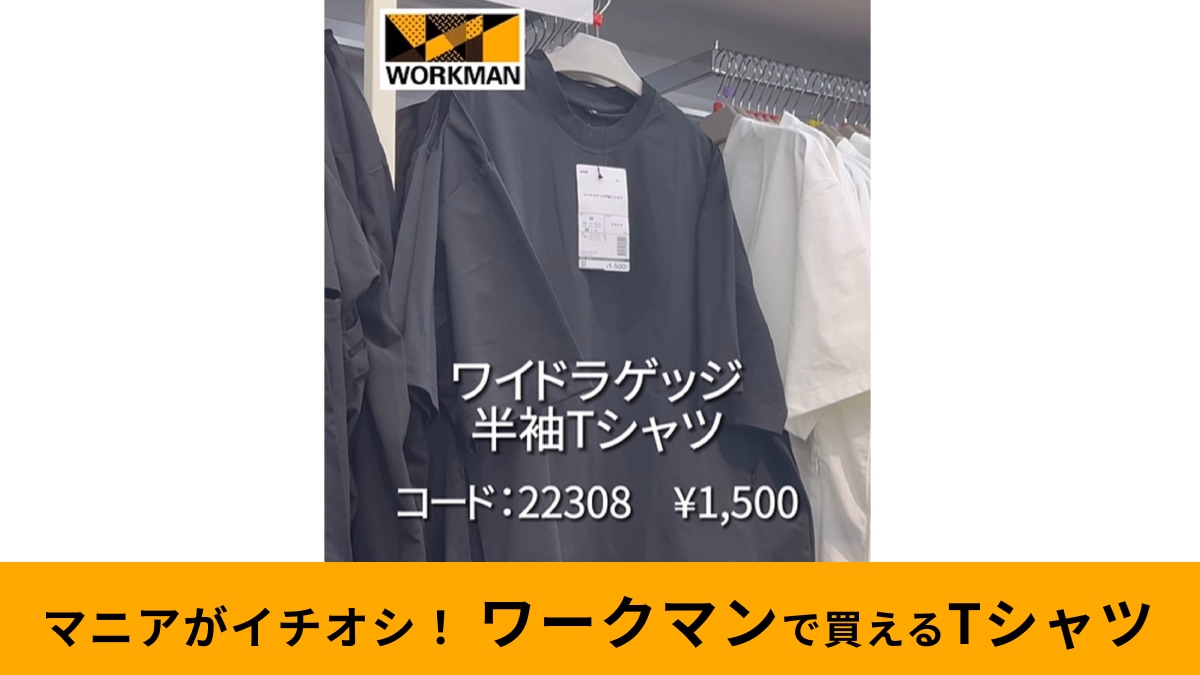 ワークマンで夏服買うなら「ワイドラゲッジ半袖Tシャツ1500円」がおすすめ！シルエット調整できるってすごくない？