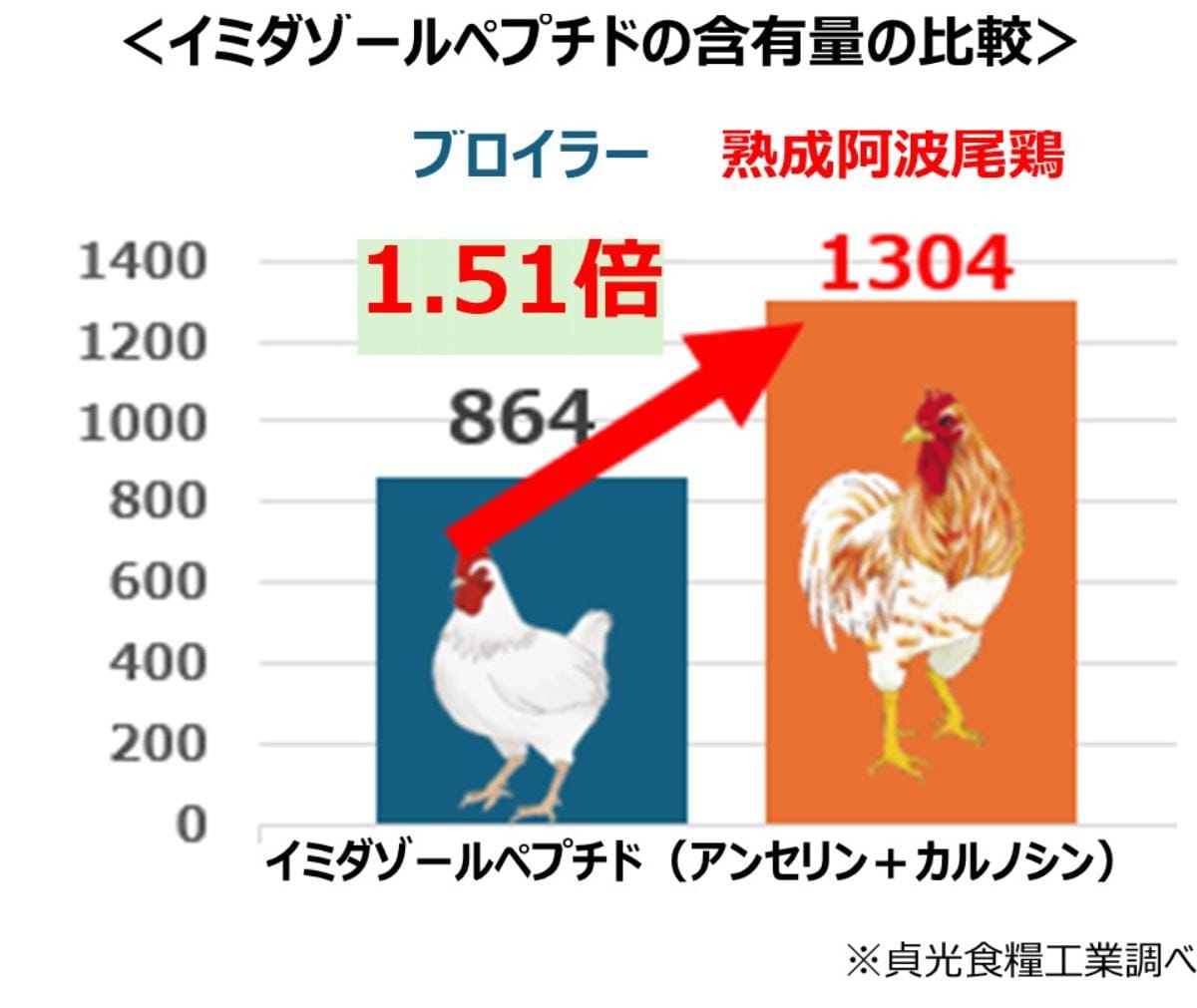 プロいらー種よりも熟成阿波尾鶏にはイミダゾールペプチドが多く含有されていることを紹介する画像